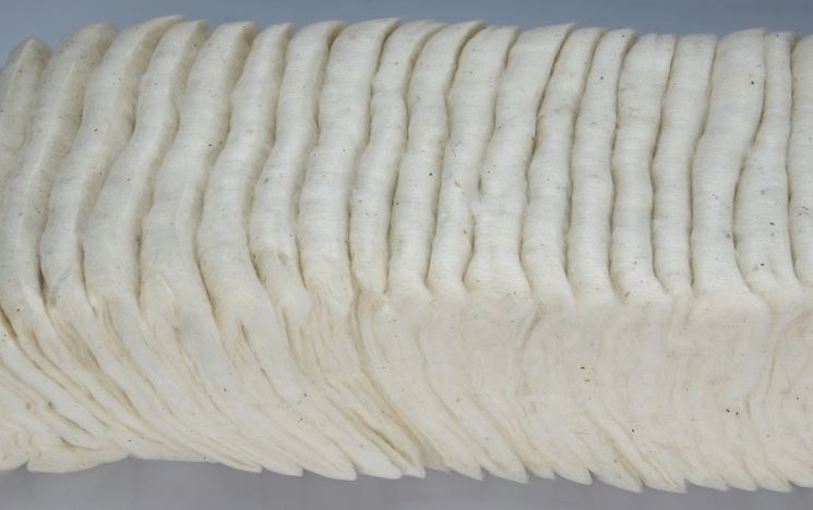 Algodão Cardado