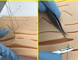 Almofada Treinamento De sutura Silicone Com 14 Feridas.